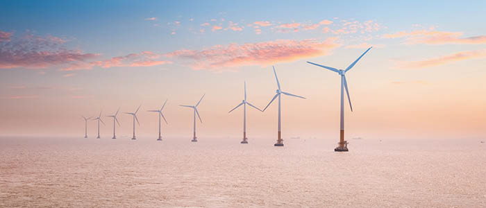 Albota Law Firm Advises OX2 on 99.2-Megawatt Onshore Wind Farm Construction Contracts